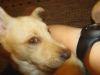 k-IMG_1587.JPG