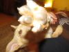 k-IMG_1589.JPG