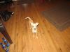 k-IMG_1814.JPG