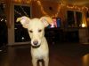k-IMG_1817.JPG