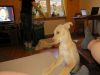 k-IMG_1887.JPG
