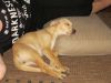 k-IMG_1889.JPG