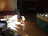 k-IMG_1951.JPG