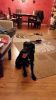 k-IMG-20161030-WA0019.jpg