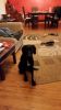 k-IMG-20161030-WA0022.jpg