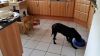 k-IMG-20161101-WA0002.jpg