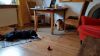 k-IMG-20161101-WA0003.jpg