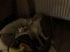 k-IMG_1480.JPG