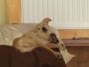 k-IMG_1489.JPG