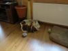 k-IMG_1501.JPG