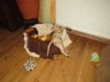k-IMG_1503.JPG