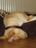 k-IMG_1506.JPG