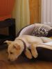 k-IMG_1507.JPG
