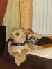 k-IMG_1509.JPG