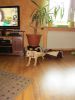 k-IMG_1510.JPG