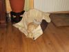 k-IMG_1511.JPG