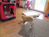 k-IMG_1523.JPG