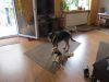 k-IMG_1535.JPG