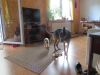 k-IMG_1540.JPG