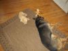 k-IMG_1555.JPG