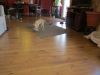 k-IMG_1565.JPG