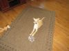 k-IMG_1566.JPG