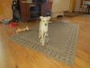 k-IMG_1568.JPG