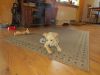 k-IMG_1571.JPG