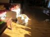 k-IMG_1579.JPG
