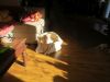 k-IMG_1580.JPG