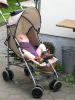 k-IMG_6619.JPG