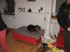 k-IMG_2883-21.JPG