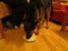 k-IMG_1919.JPG