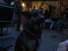 k-IMG_1994.JPG