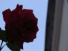 k-IMG_1998.JPG