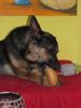 k-IMG_0661.JPG