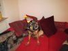 k-IMG_0693.JPG