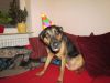k-IMG_0695.JPG