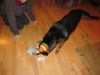 k-IMG_0699.JPG