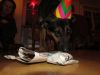 k-IMG_0704.JPG