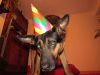 k-IMG_0718.JPG