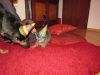 k-IMG_0721.JPG