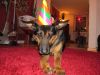 k-IMG_0726.JPG