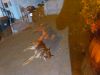 k-IMG_4645.JPG