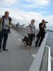 bild026.JPG