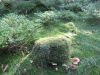 bild011.JPG