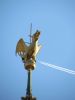 k-IMG_1336.JPG