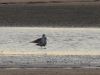 k-IMG_1669.JPG