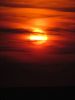 k-IMG_1731.JPG