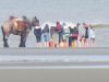 k-IMG_1774.JPG